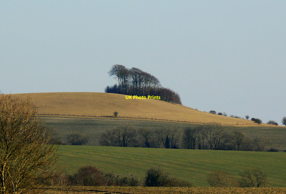 Photo 6"x4" Woodborough Hill south-east of Alton Barnes Alton Priors c2010