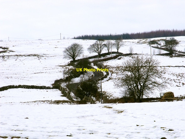 Photo 6"x4" The Hill Road to Fintry Cambusbarron c2010