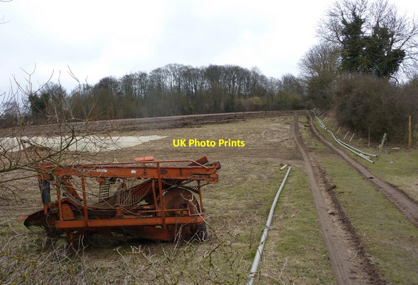 Photo 6"x4" Field and track towards Flordon Road Creeting St Mary c2010