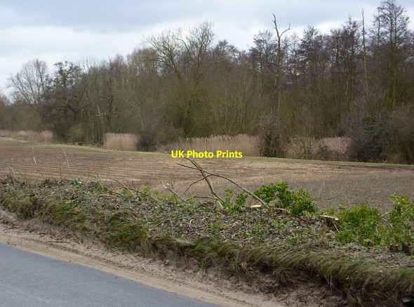 Photo 6"x4" Field by Flordon Road Creeting St Mary c2010