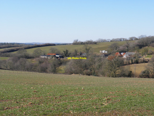 Photo 6"x4" View towards Rensey Lapford c2010
