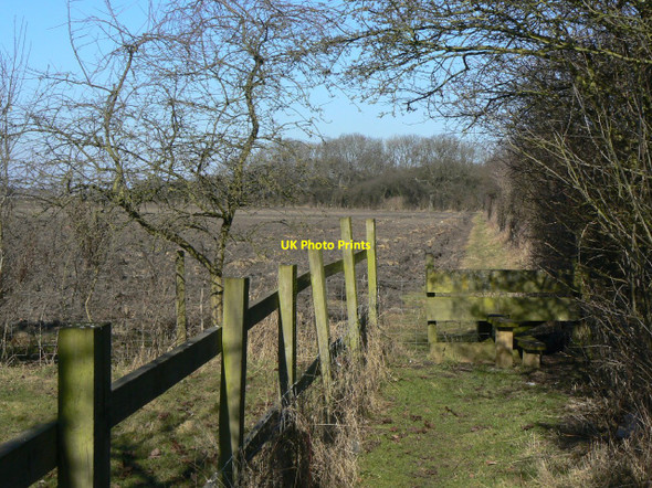 Photo 6"x4" Footpath alongside the railway Bunny Hill\/SK5728 c2010