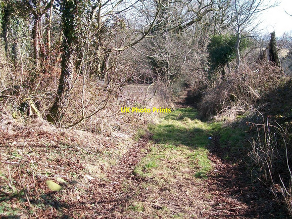 Photo 6"x4" Green Lane between Betws Fawr and Rhoslan Llanystumdwy c2010