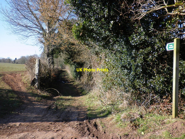 Photo 6"x4" Footpath, to Parsonage Farm Eastington\/SS7409 c2010