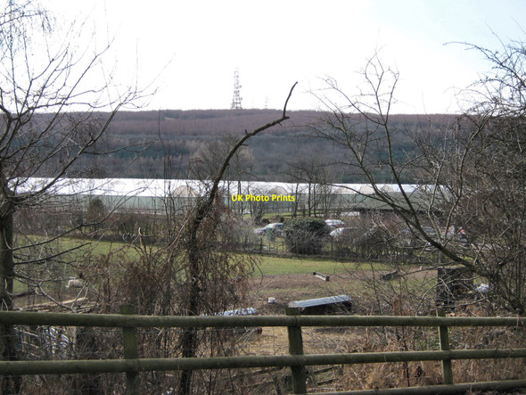 Photo 6"x4" Forestry Commission polytunnels Hatchmere c2010