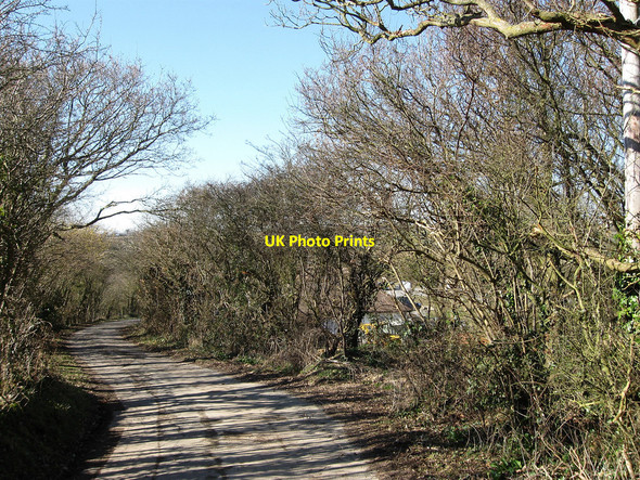 Photo 6"x4" Old Road Hall's Close c2010