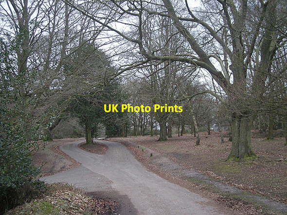 Photo 6"x4" Road near Holly Hurst Tudor Hill c2010