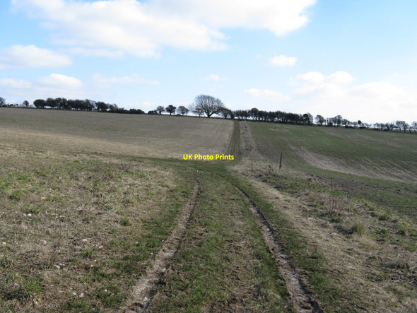 Photo 6"x4" Bridleway junction on Middle Brow Pyecombe c2010