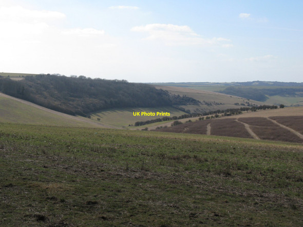 Photo 6"x4" The woods on the hillside are Pangdean Holt and the dry valley is Holt Bottom Pyecombe c2010
