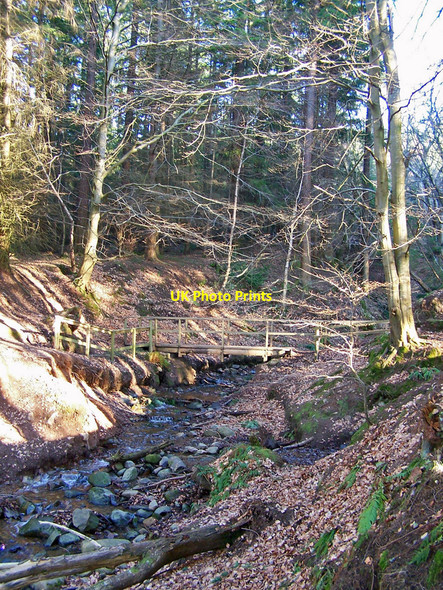 Photo 6"x4" Bridge in the forest Smithton c2010