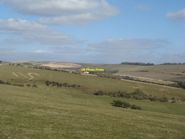 Photo 6"x4" View NE across the valley of Deep Bottom to Poor Brow Patcham c2010
