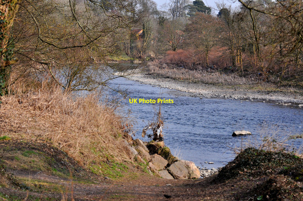 Photo 6"x4" The River Taff adjacent to Forest Farm Radyr c2010