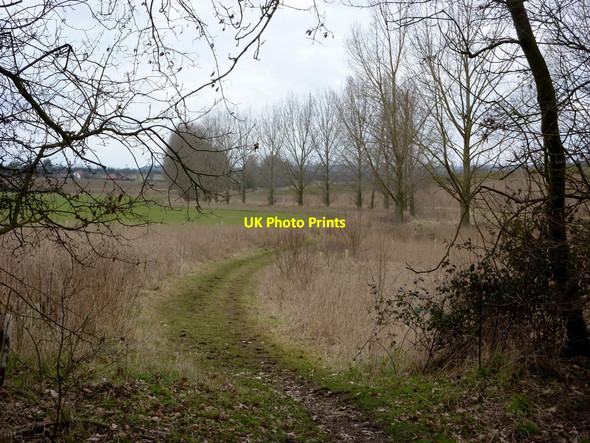 Photo 6"x4" Footpath towards College Farm Coddenham Green c2010