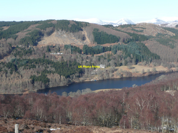 Photo 6"x4" Birch woods on the south side of Loch Tummel Duntanlich Lochan c2010