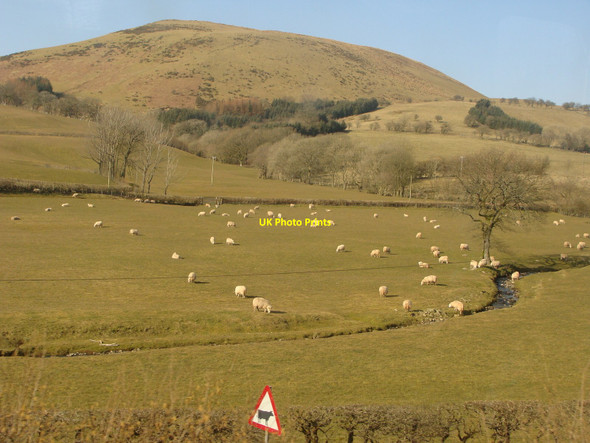 Photo 6"x4" Nant y Cae (stream) from the Heart of Wales railway line Llanwrtyd Wells c2010