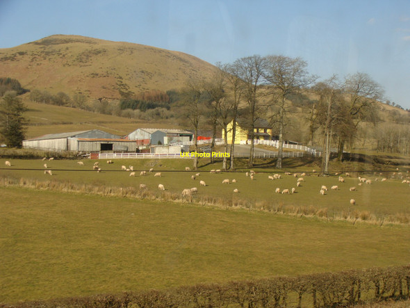 Photo 6"x4" Fields, with Llawr-dre-Fawr farm Llanwrtyd Wells c2010