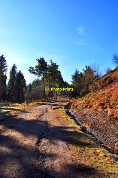 Photo 6"x4" Path to Captain Cooks Monument, above Gribdale Gate Kildale c2010