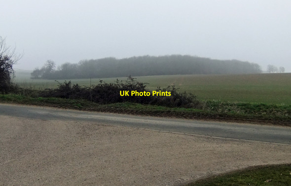 Photo 6"x4" Risby Little Wood Risby\/TL7966 c2010