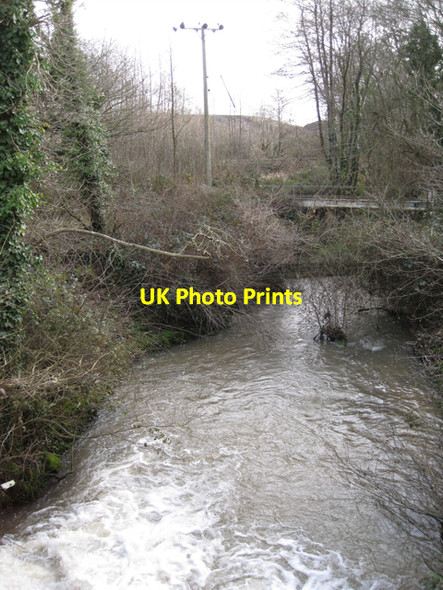 Photo 6"x4" The Abbrook from Chudleigh Road bridge Sandygate\/SX8674 c2010