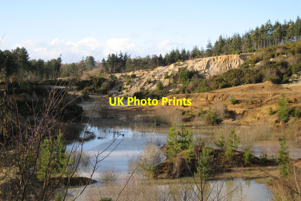 Photo 6"x4" Old sand quarry, Sands Copse Sandygate\/SX8674 c2010
