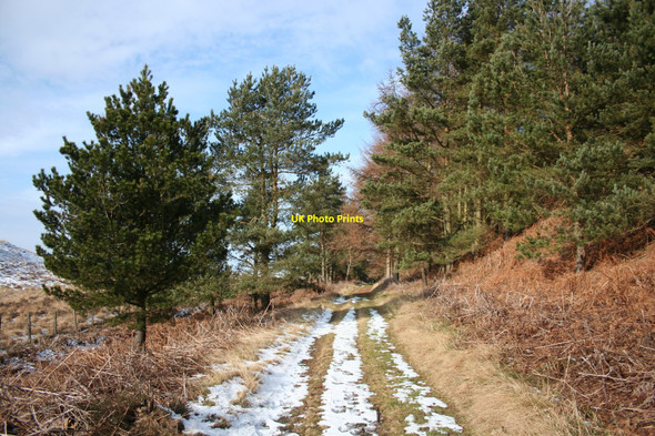 Photo 6"x4" Bridleway near Raven's Crag Holburn c2010