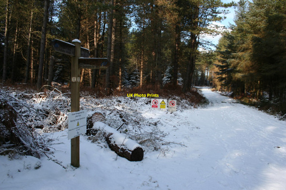 Photo 6"x4" Bridleway junction Detchant c2010