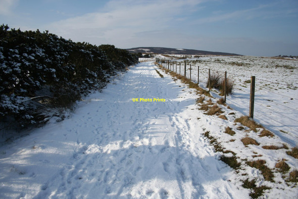 Photo 6"x4" St Cuthbert's Way near Fawcet Hill Detchant c2010