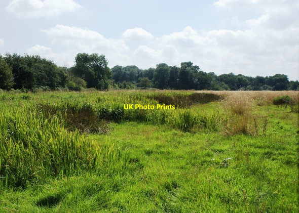Photo 6"x4" Wet grassland on the floodplain of the River Loddon Carter's Hill\/SU7669 c2009