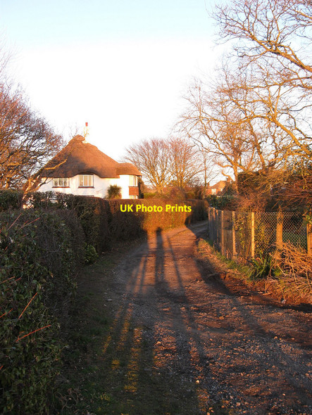 Photo 6"x4" The Thatched Cottage Cooden c2010
