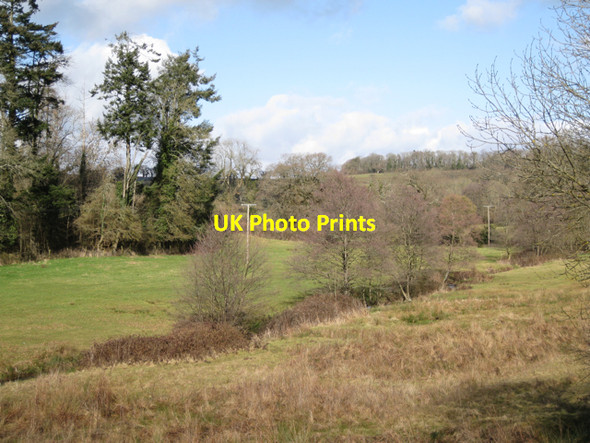 Photo 6"x4" Ugbrooke Stream valley Gappah c2010