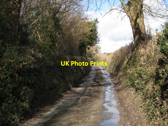 Photo 6"x4" Lane west of Ugbrooke Stream Gappah c2010