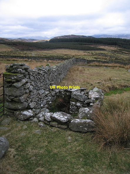 Photo 6"x4" Ffynnon Oledd Caerdeon c2010
