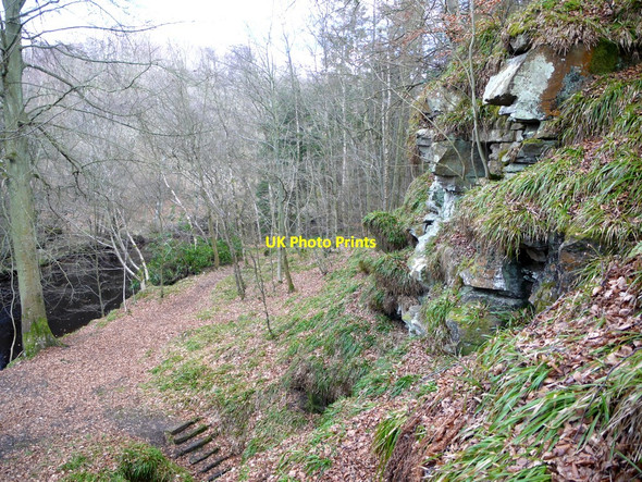 Photo 6"x4" Location of Hartburn Grotto Hartburn\/NZ0886 c2010