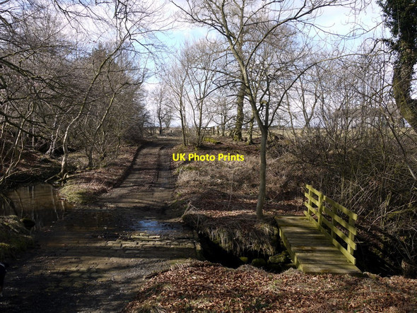 Photo 6"x4" Ford and footbridge south of Longwitton Dene Longwitton c2010