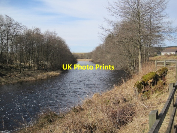 Photo 6"x4" River North Tyne at Falstone Falstone c2010