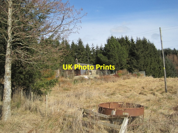Photo 6"x4" High Hawkhope near Falstone Hawkhope\/NY7188 c2010