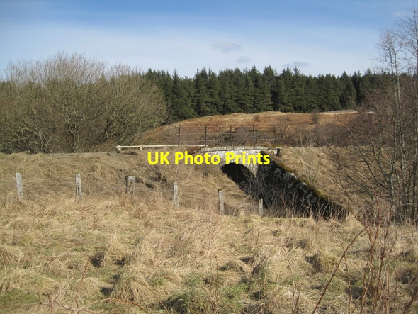 Photo 6"x4" Former Railway Bridge over Hawkhope Burn Hawkhope\/NY7188 c2010