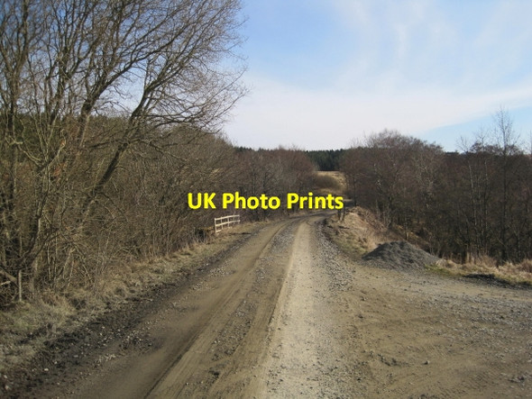 Photo 6"x4" Dismantled Railway Line (Border Counties Railway) Hawkhope\/NY7188 c2010