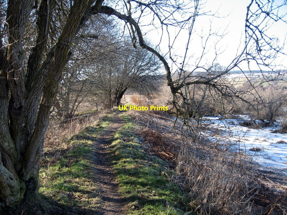 Photo 6"x4" Footpath alongside the River Beauly Beauly c2010