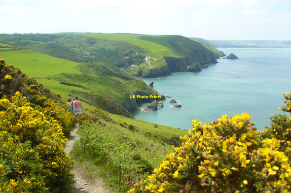 Photo 6"x4" Path to Llangrannog Llangrannog c2009