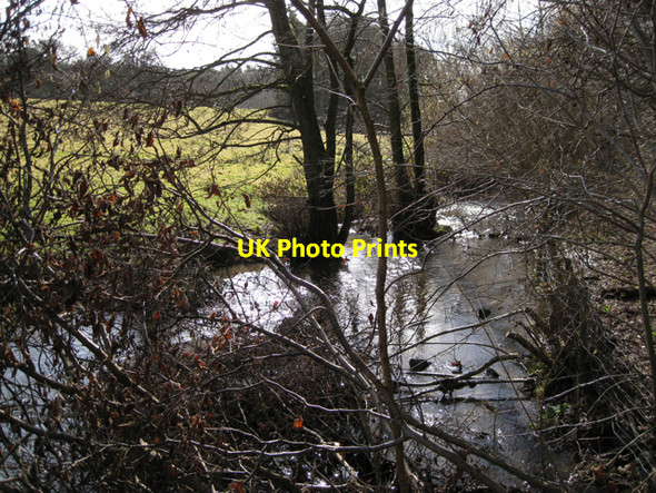Photo 6"x4" Ugbrooke Stream below Gappah Lane Gappah c2010