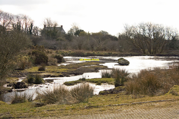 Photo 6"x4" Wallis Millpond Ambleston c2010