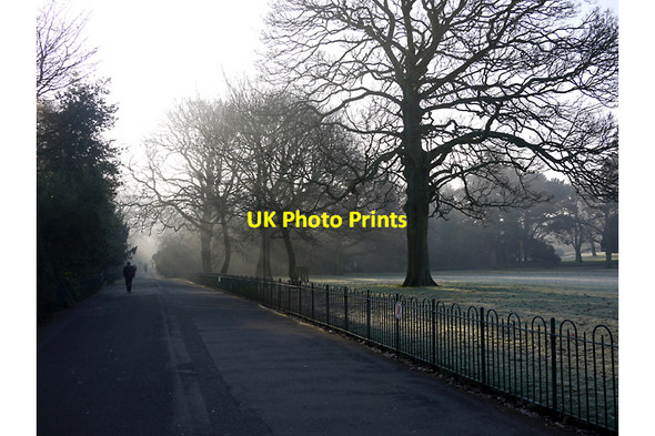 Photo 6"x4" Botanic Gardens, Belfast Belfast c2010