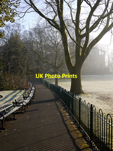 Photo 6"x4" Botanic Gardens, Belfast Belfast c2010 P2