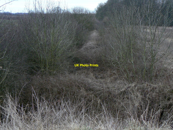Photo 6"x4" The old railway Snarestone c2010