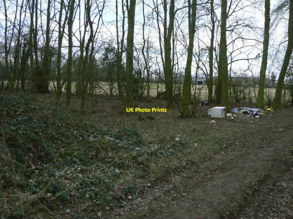 Photo 6"x4" Green Lane Coverts Snarestone c2010