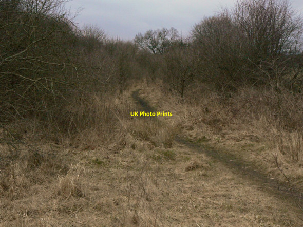 Photo 6"x4" Old railway alignment Measham c2010