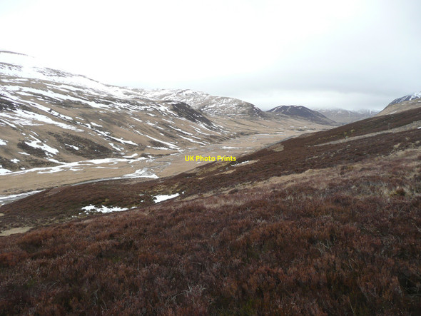 Photo 6"x4" Heather slopes west of Gleann Beag Creag nan Eun\/NO1275 c2010