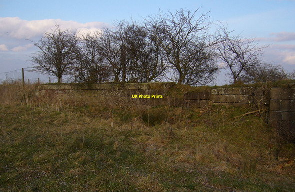 Photo 6"x4" Market Weighton Canal, remains of Mill Lock Rascal Moor c2010