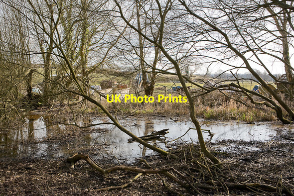 Photo 6"x4" Wet woodland and agricultural junk Eastleigh\/SU4519 c2010